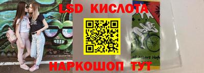 индика Кандалакша