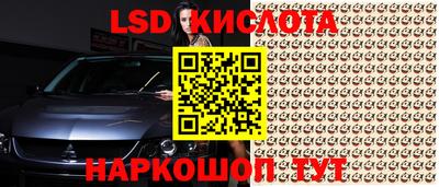 индика Кандалакша