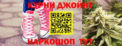 индика Кандалакша