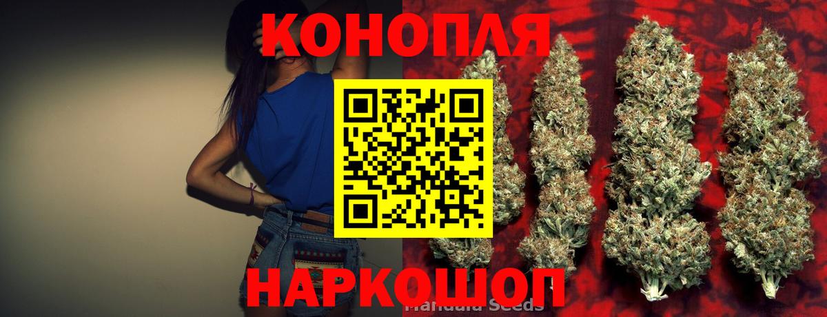 Шишки марихуана планчик  Каннабис OG Kush  Каннабис индика  Вход с VPN  Ливны 